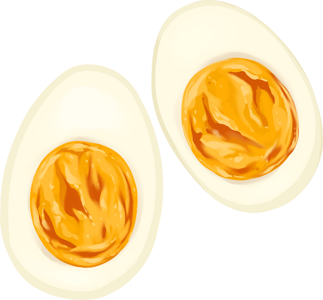 Hard-Boiled Egg Illustration        